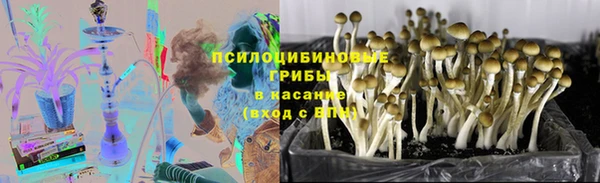 крисы Алексин