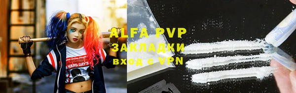 крисы Алексин