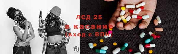 сатива Алексеевка