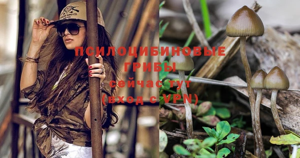 винт Абдулино