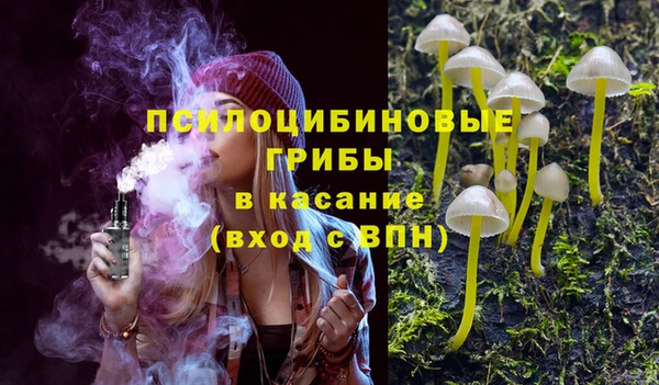 сатива Алексеевка