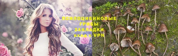крисы Алексин