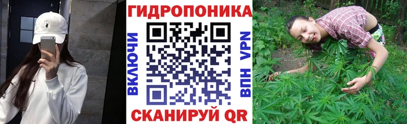 Конопля Bruce Banner Чехов
